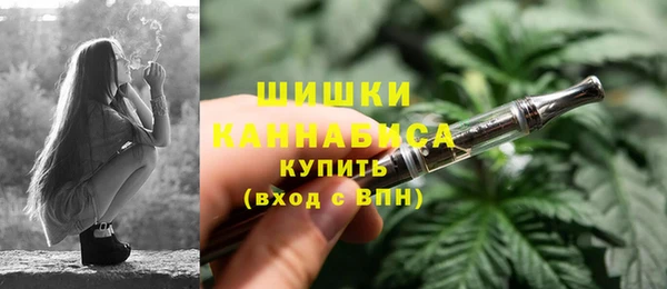 шишки Абаза