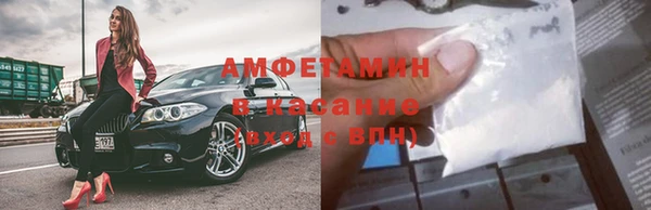 шишки Абаза