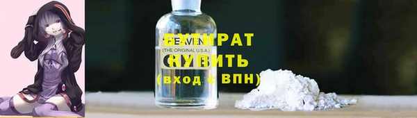 шишки Абаза