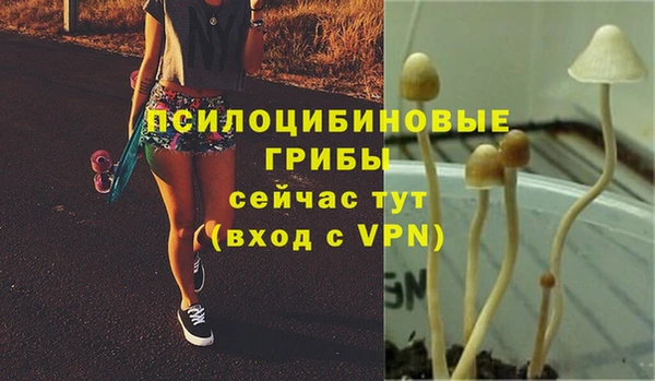 прущие крисы Наволоки