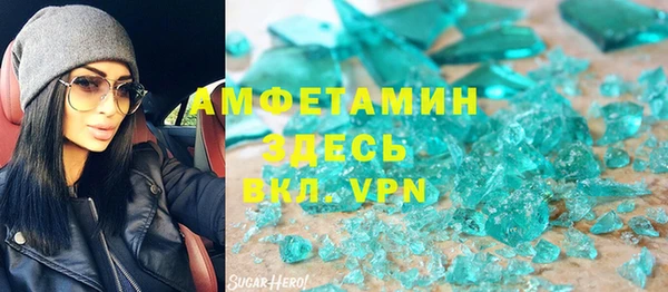 шишки Абаза