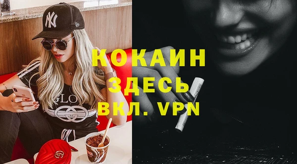 шишки Абаза