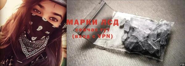 шишки Абаза