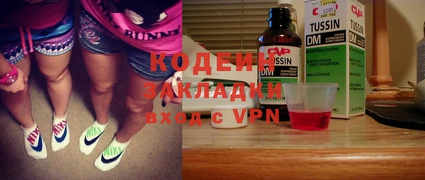 шишки Абаза