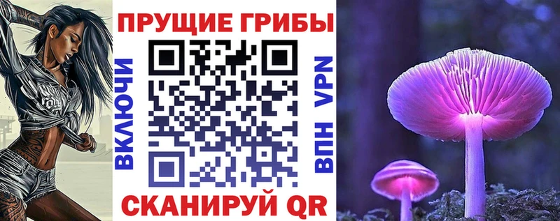 маркетплейс официальный сайт  Харабали  Псилоцибиновые грибы GOLDEN TEACHER  где найти  